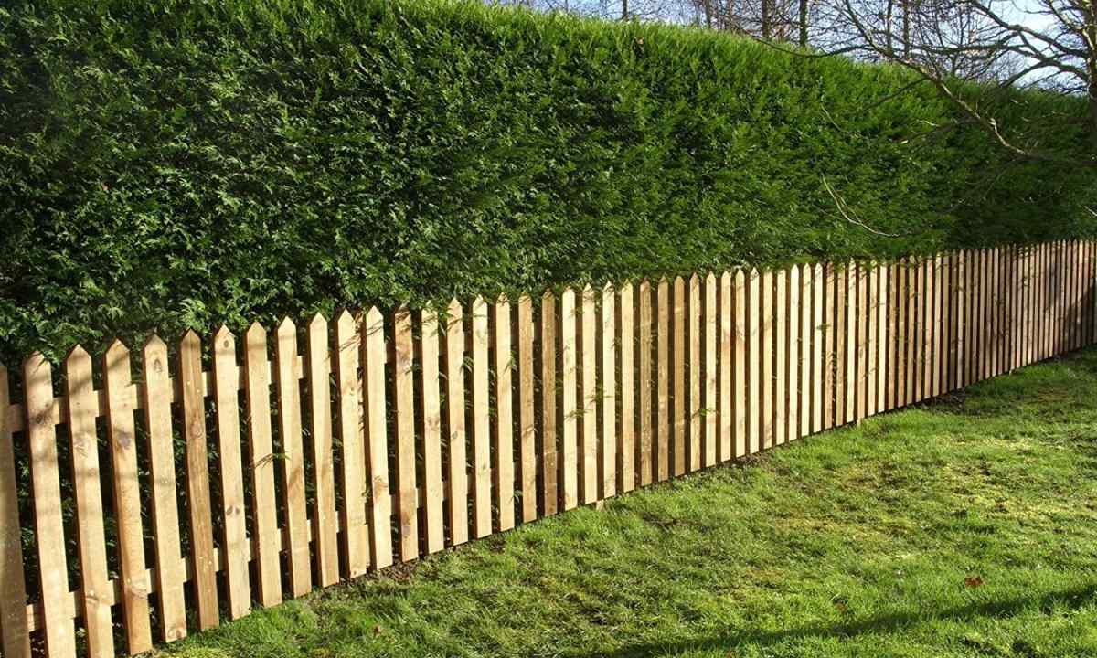 Types of wooden fences