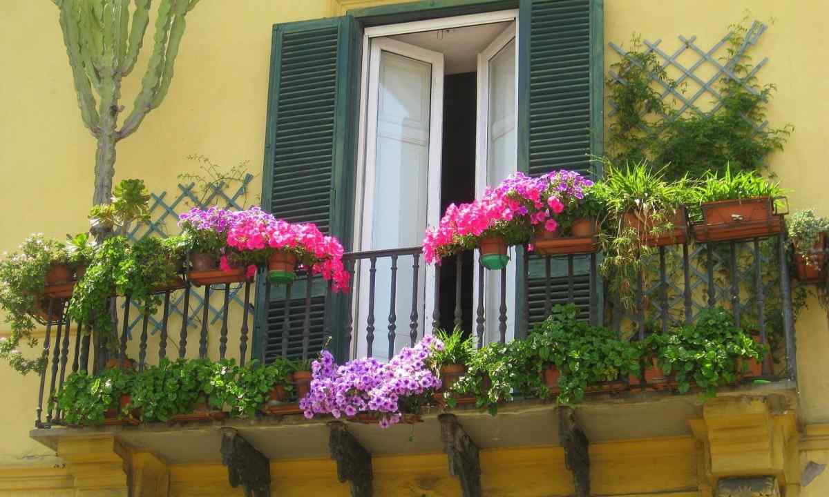 How to issue balcony in flowers