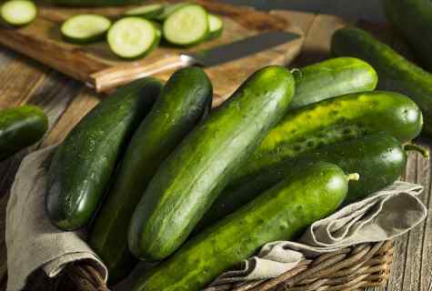 Hotbed for cucumbers: as it is correct to grow up tasty fruits