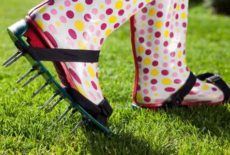 How to look after lawn