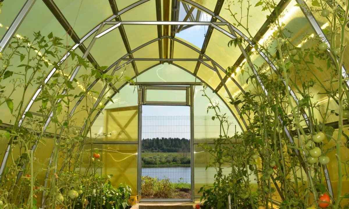 How to arrange the greenhouse