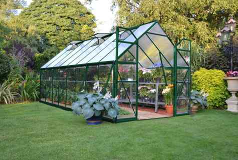 The greenhouse on Mitlaydera the hands: construction features and advantages of use