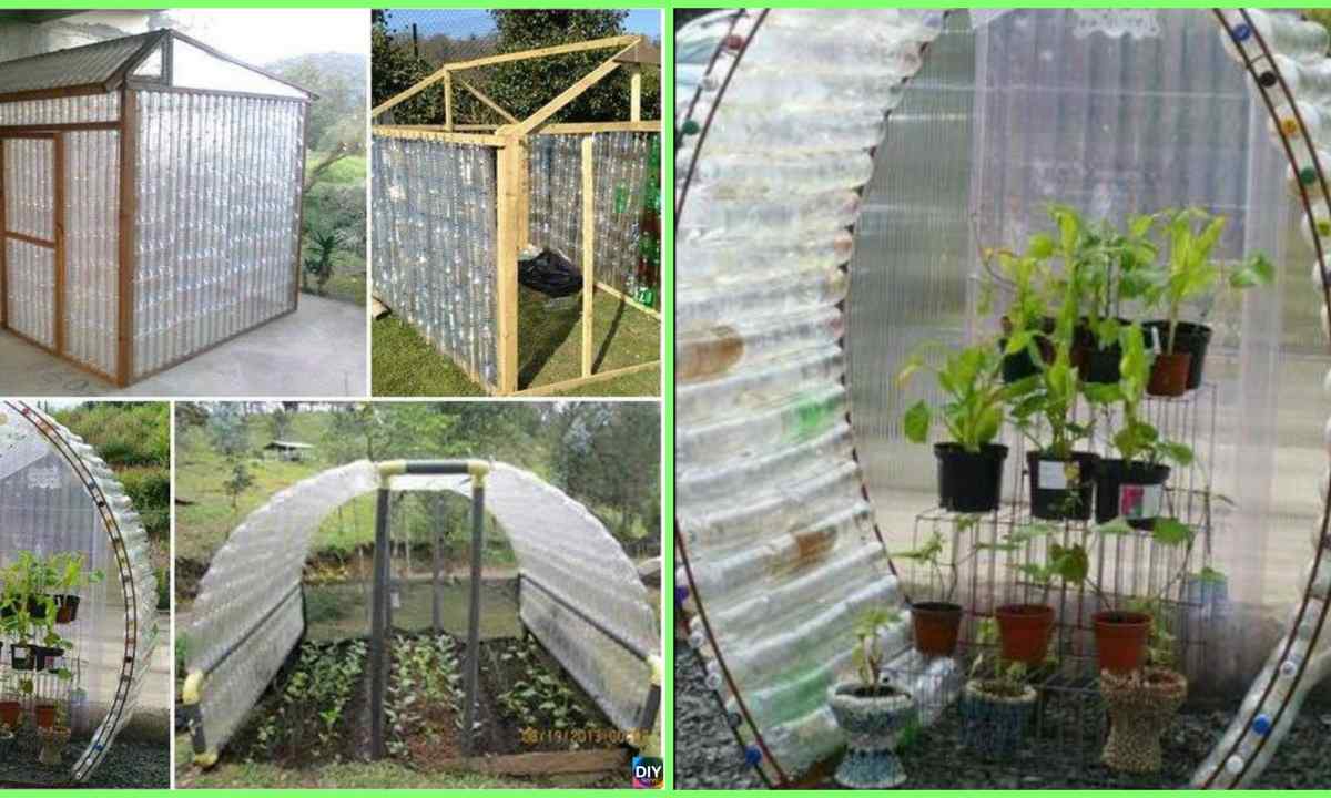 How to make the greenhouse of plastic bottles