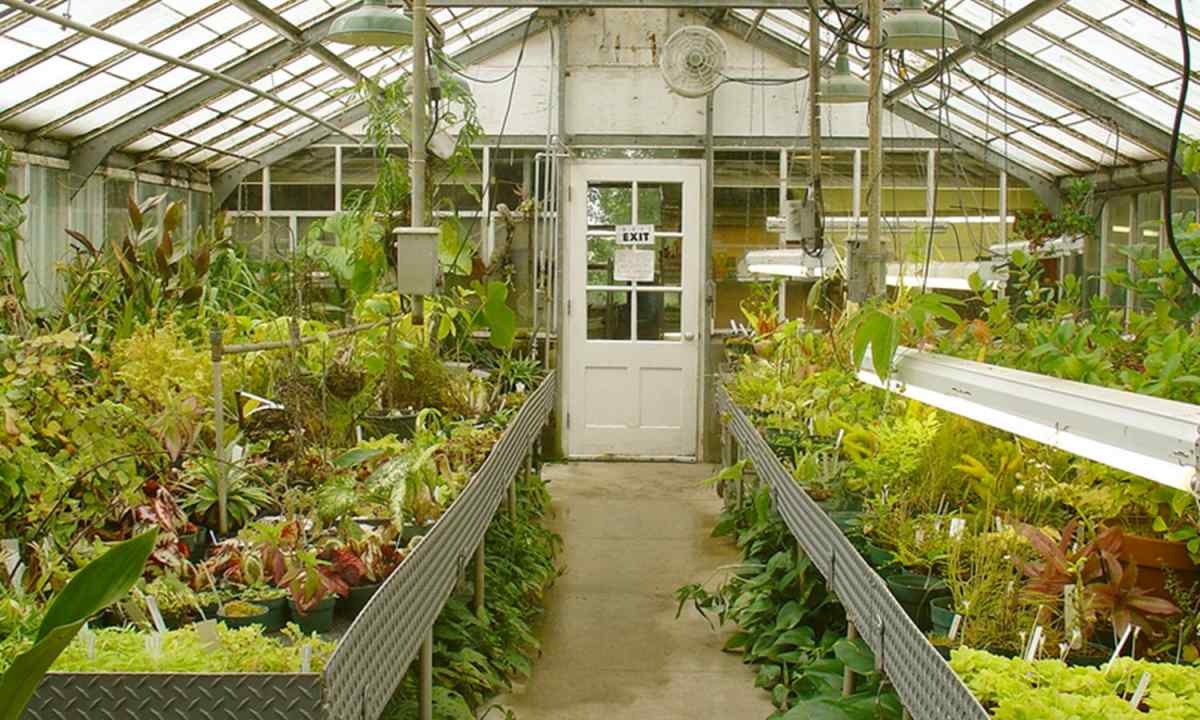 How to make the greenhouse with heating