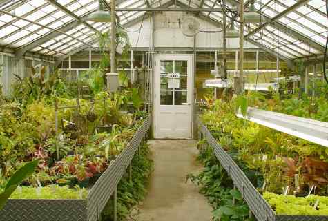 How to make the greenhouse with heating