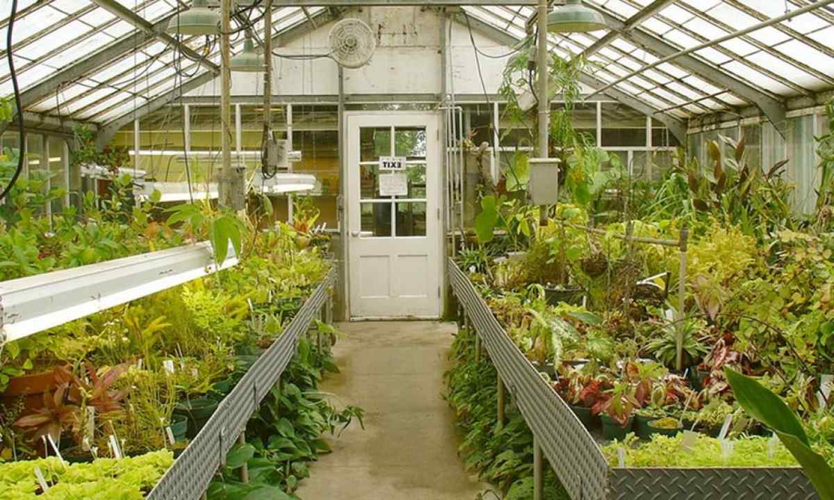 How to make the greenhouse thermos