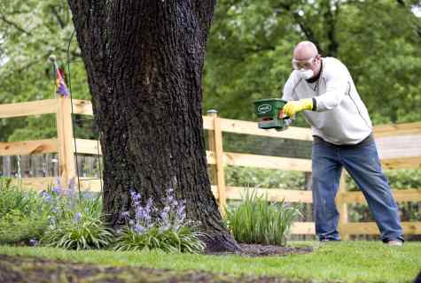 What works need to be carried out in garden in the spring