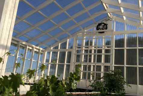 How to build the greenhouse the to hands of polycarbonate