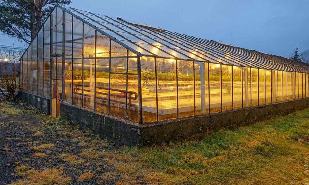How to make the glass greenhouse with own hands