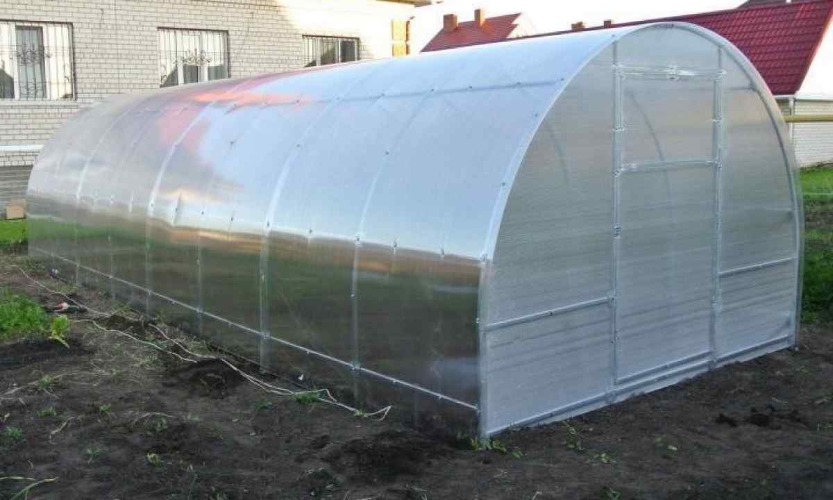 Greenhouses from polycarbonate: pluses and minuses