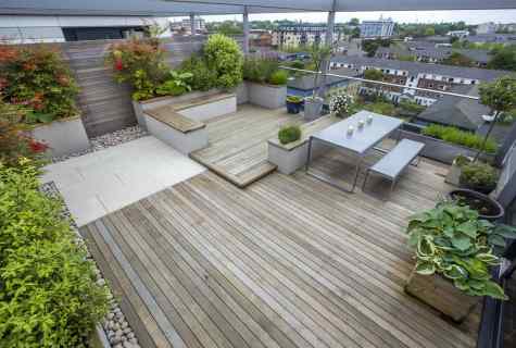 What to cover the rooftop with: covering options
