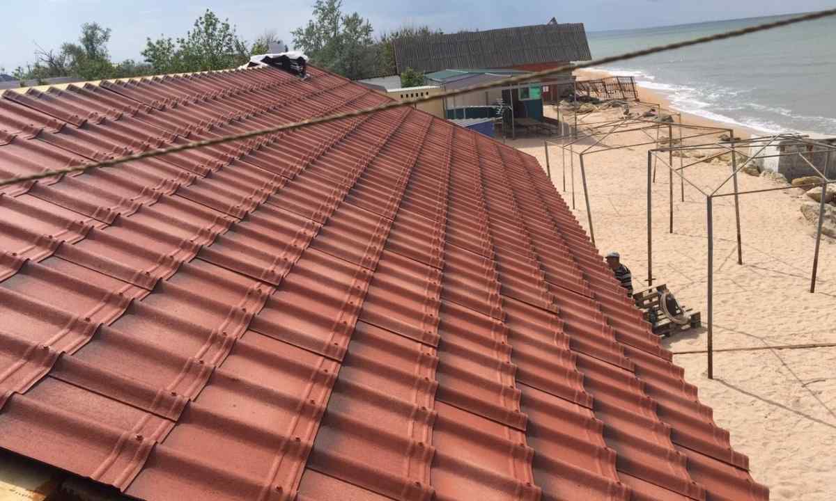 What shortcomings at andulinovy roof