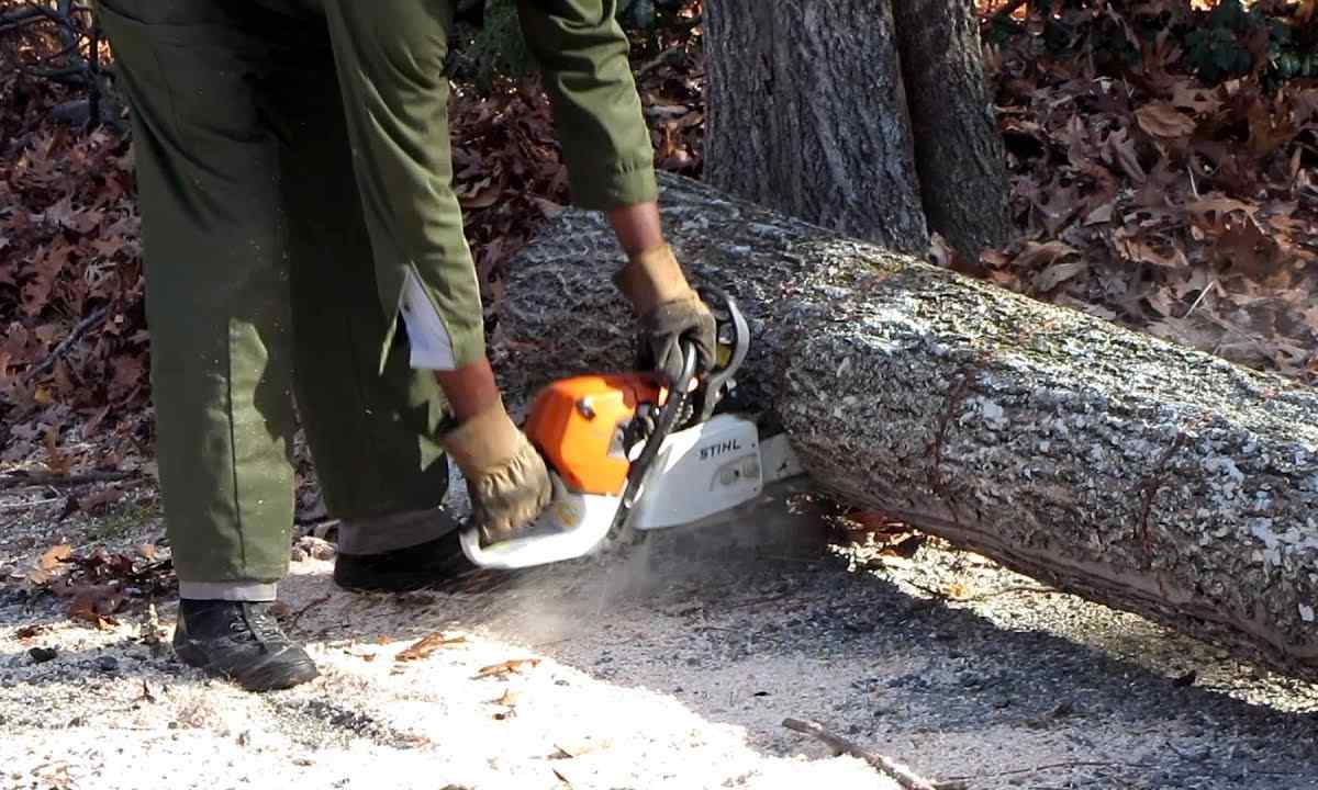 How to cut tree