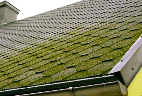 What is soft roof