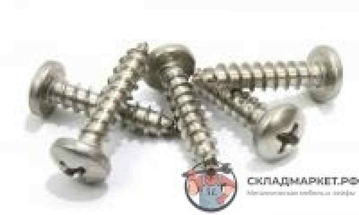 How to choose self-tapping screws, types of self-tapping screws