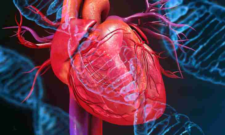 Heart diseases at children: symptoms