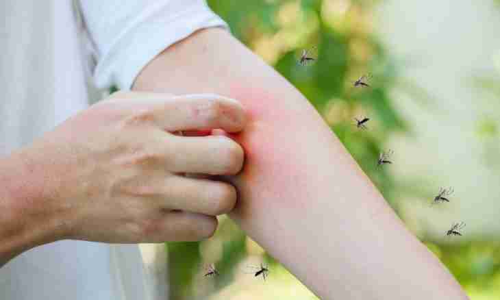 What to smear stings of mosquitoes to the small child with