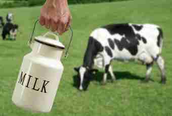 Whether it is necessary to give to the child cow's milk