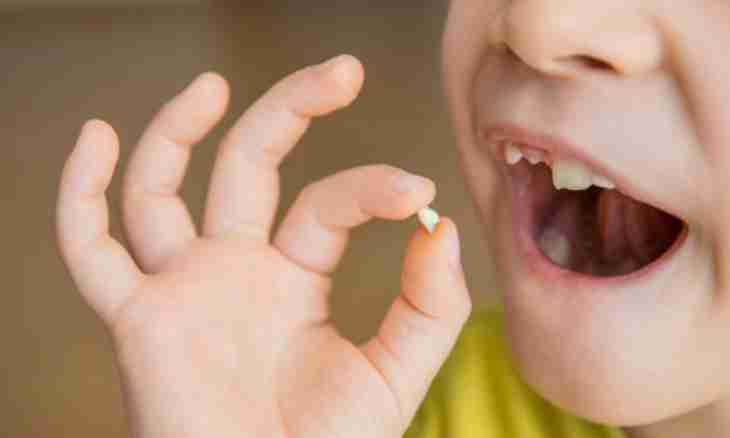 As at children the milk teeth change on radical