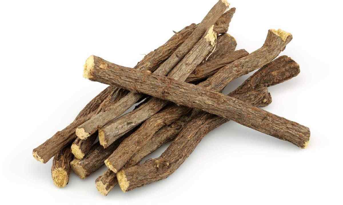 How to give syrup a licorice root to children