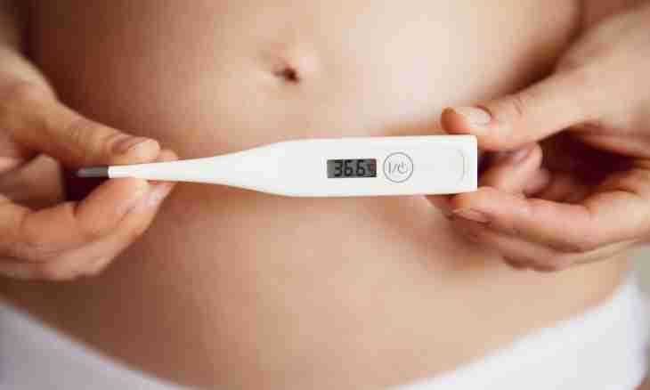 How to determine pregnancy by the thermometer