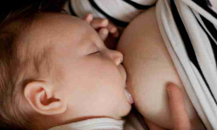 How to eat during a lactation
