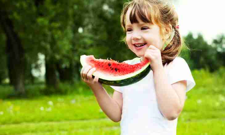 Whether it is possible to eat watermelon when breastfeeding