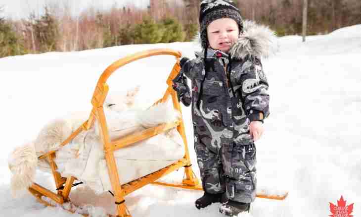 How to choose winter overalls for the kid