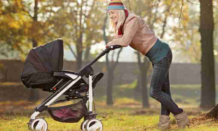 How to choose a carriage for the baby