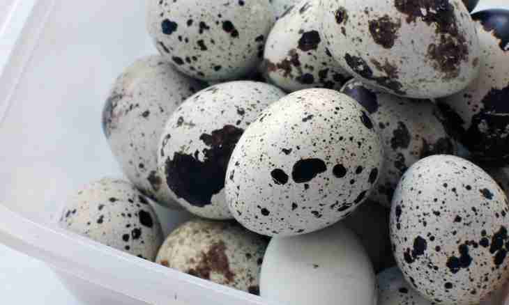 Why children about one year are given quail eggs