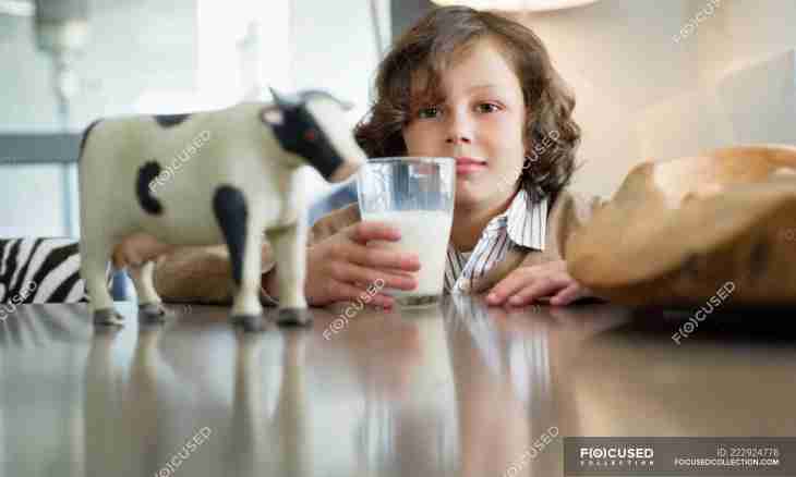 Why cow's milk is impossible for children about one year