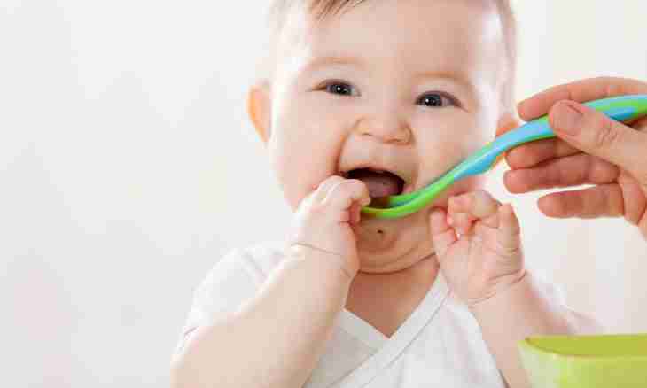 What baby food is better
