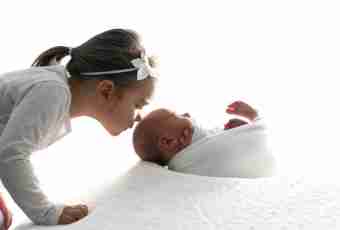 How to choose an autocradle for the newborn