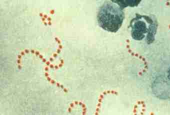 Scarlet fever: nature, development and spread of an infection