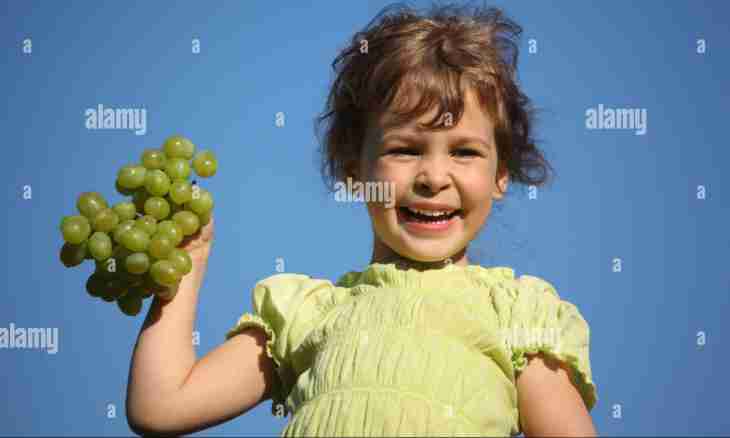 When it is possible to give grapes to the child