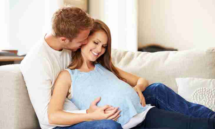 How to endure pregnancy of the wife