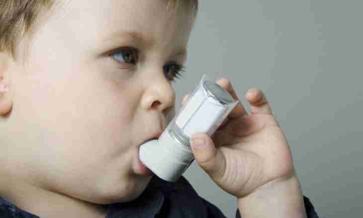 Treatment of obstructive bronchitis at children
