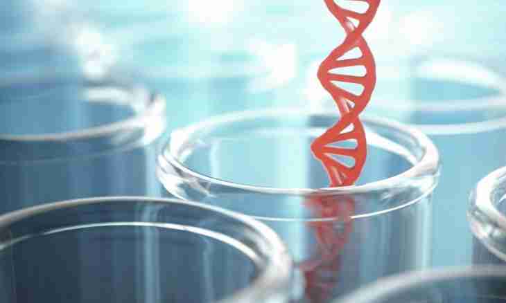 How to determine paternity by DNA