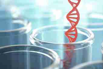 How to determine paternity by DNA