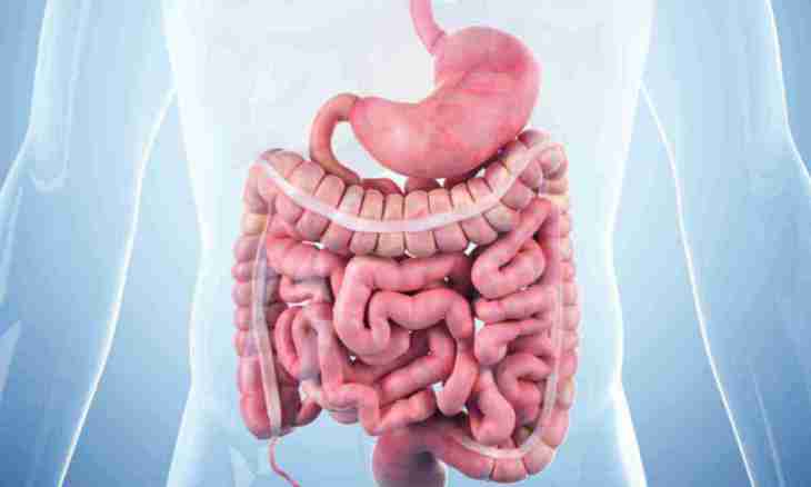 Stagnation in intestines at the small child