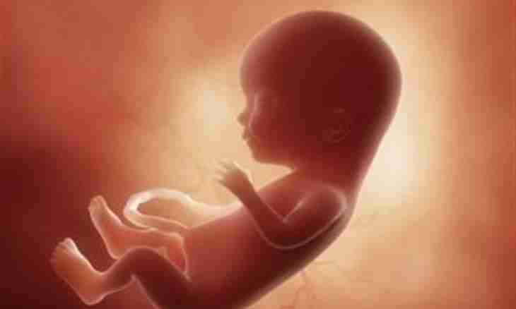 What is felt by the kid in a womb?
