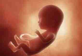 What is felt by the kid in a womb?