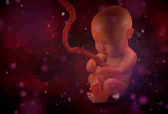 As the child in mother's womb develops
