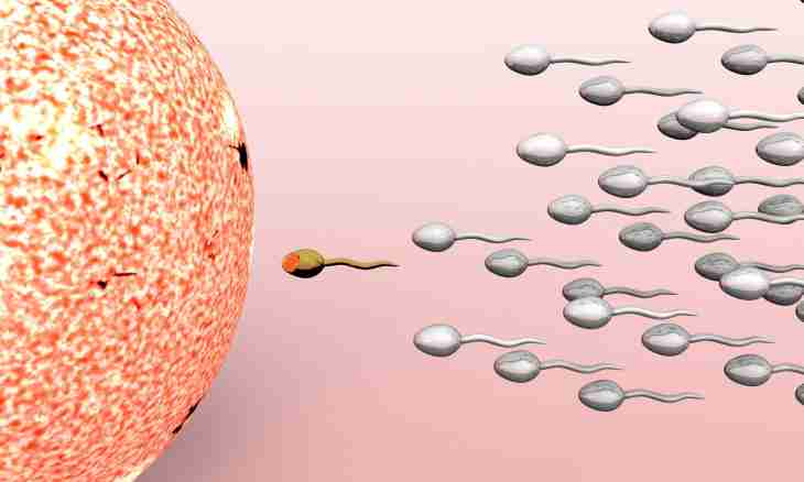 Why there is no fertilization