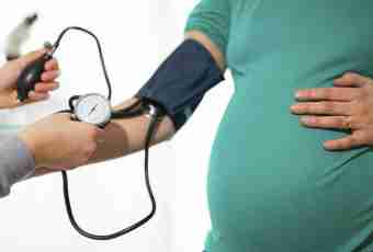 What pulse is normal at pregnancy