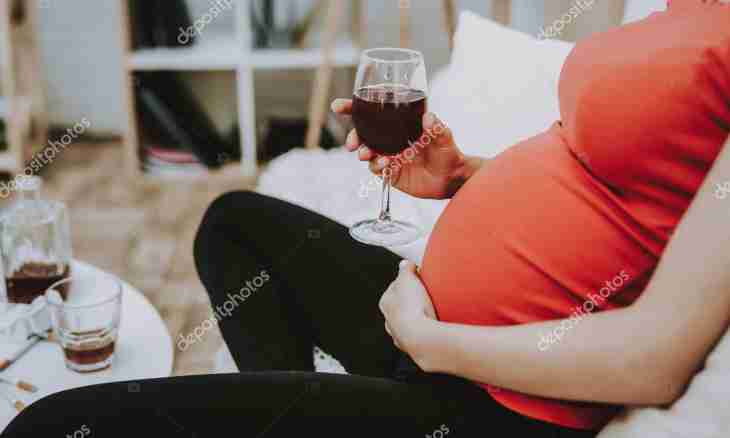 Why pregnant women cannot drink alcohol