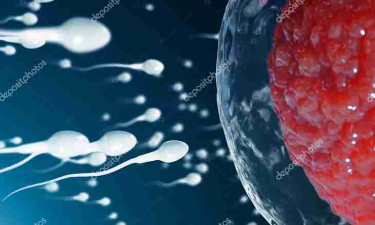 Fertilization of an ovum: features of the calendar of conception
