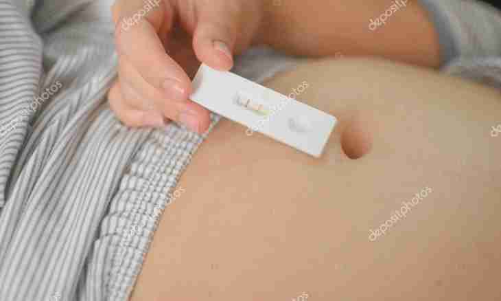 On what terms of pregnancy the stomach falls