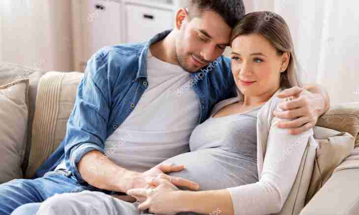 How to tell the husband about pregnancy