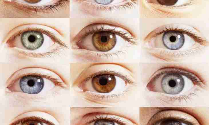 How to learn color of eyes of future child